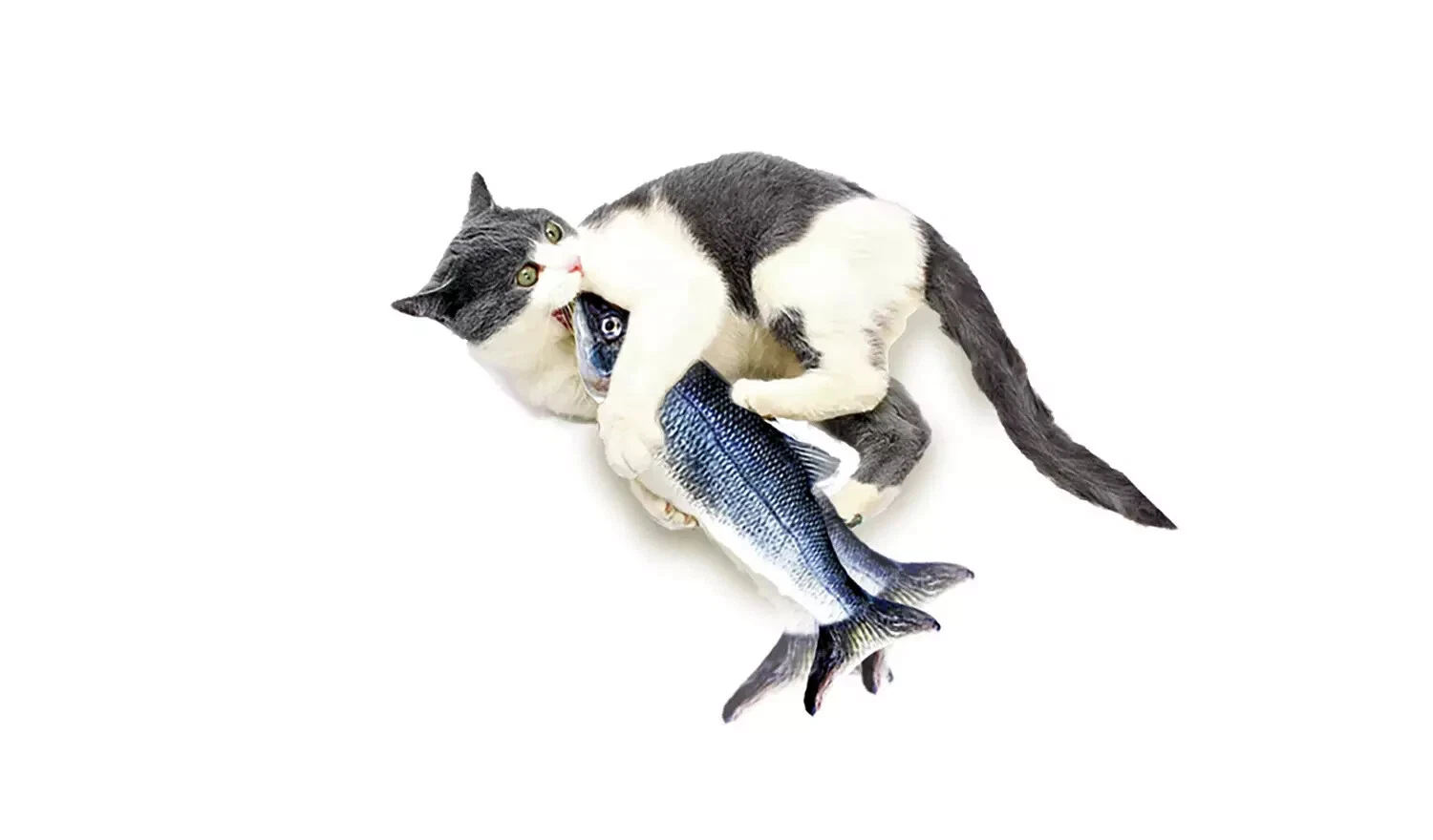 Cat Toy Realistic Fish Cat To INTERACTIVE CAT TOY - FLIPS, FLOPS & WIGGLES USB