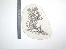 vtg 1960s 1970s Tattoo Flash acetate stencil Flying Ornate Peacock/ Pheasant BR3