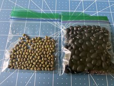 100 Black Beans For Seeding, Non MGO Certified 100 Green Mung Beans Thailand