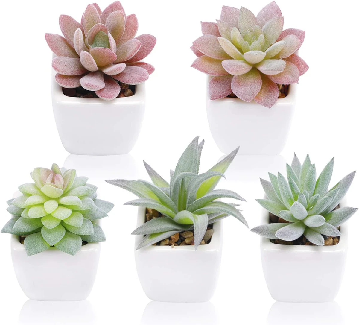 ZJ Whoest Graziosa fioriera per piante grasse, vaso per fiori, vaso da fiori con testa kawaii, vaso unico per interni ed esterni, con foro di drenaggio, (bambola benedizione