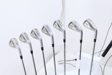 Callaway Apex Pro Forged Iron Set 4-Pw Extra Stiff Dynamic Gold Dg Pro X100 2762