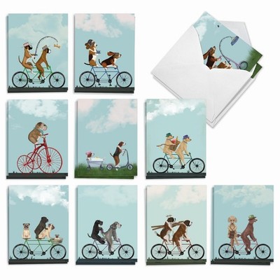 - 20 Blank Note Cards with Envelopes (4 x 5.12 Inch) - All Occasion Animal Ca...