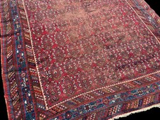 antique Afshār large Persiān rug tapis persān tribal teppich boteh 235x176