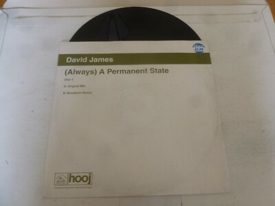 DAVID JAMES - (Always) A Permanent State - 2001 UK 2-track 12'' Vinyl Single