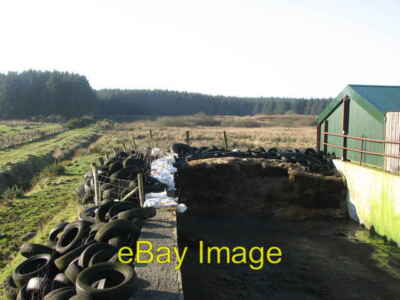 Foto 6x4 Silogrube Carneatly Fast leere Silogrube Ende Winter f c2008