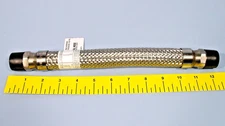 6M42 12in Stainless Steel Flexible Metal Hose 3/4" NPT Both Ends