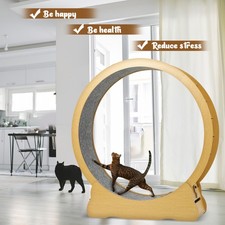 Cat Exercise Wheel Large Cat Treadmill Running Wheel for Indoor Cats 52 inch