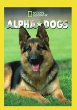 Alpha Dogs (MOD) (DVD Movie)