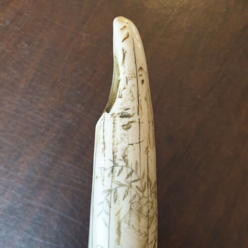 Scrimshaw Replica Faux Walrus Tooth Tusk SAMANTHA SHIP Maritime Americana Sailor - Picture 3 of 13