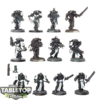 Black Templars - 12 x Primaris Crusader Squad - teilweise bemalt