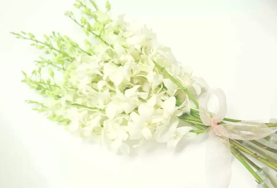 Buquê de orquídeas corte branco fresco com vaso - Imagem 2 de 4