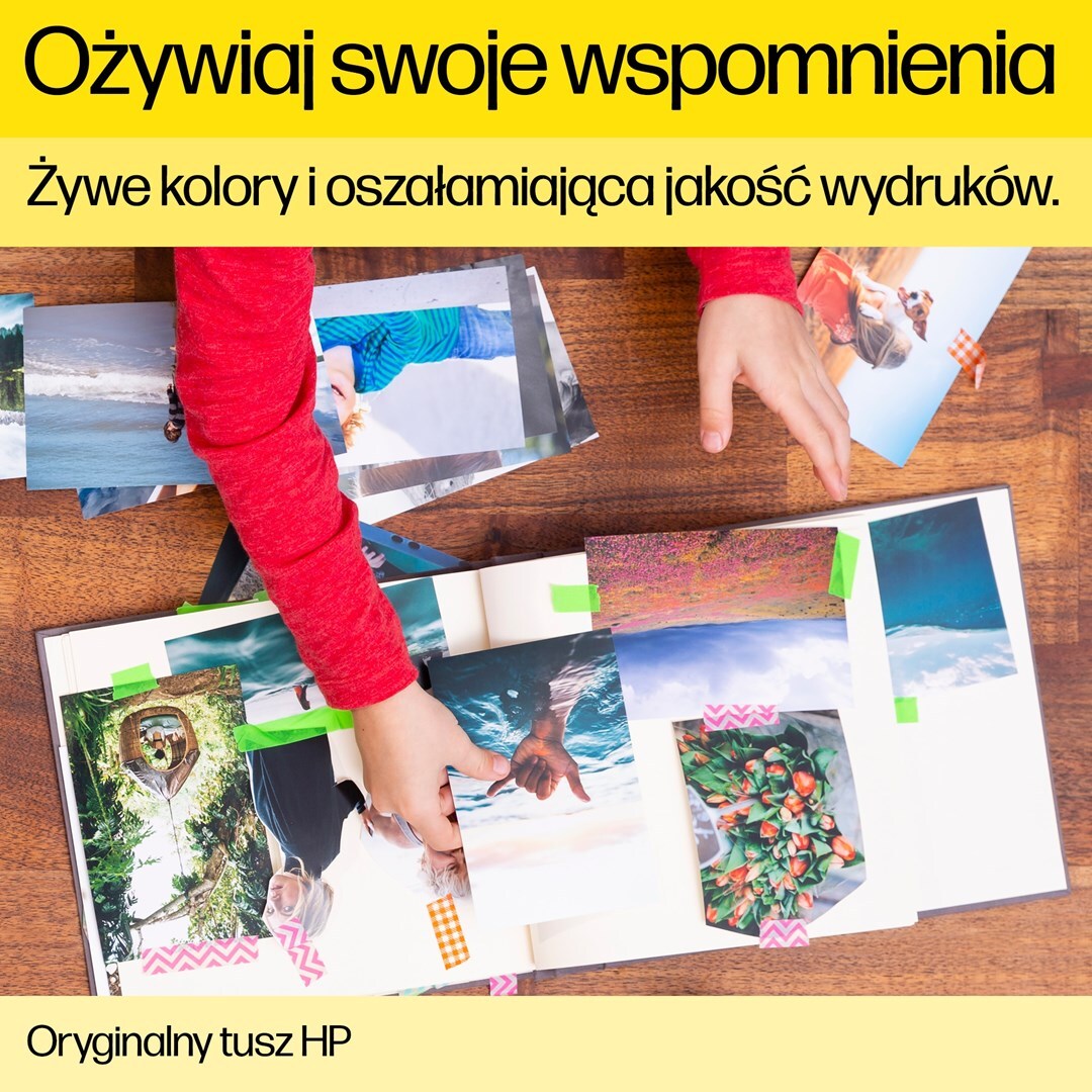 Bild 9 von 12