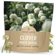 White Dutch Clover - Large 1 Ounce Packet - 40,000 1 Ounce Pouch (40,000 Seeds)