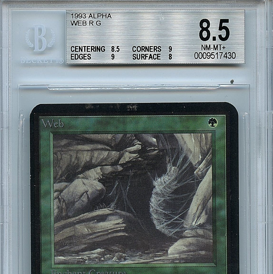 MTG The Beauty of the Beasts１箱 Double Masters 2022 Collector Booster Box Japanese SEALED