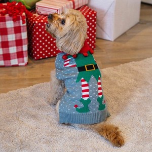 elf dog jumper