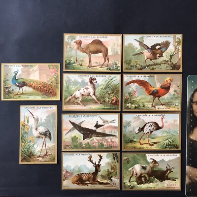 10 Goldchromos Tiere Pfau Strauß 19. Jh. Chicorée mit Schäferhund Scraps