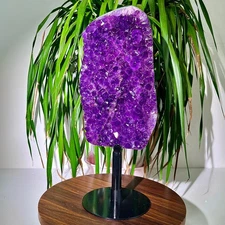 9.47LB Natural Amethyst backbone clustercrystal rod point healing therapy