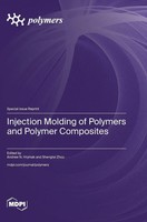 Injection Molding Of Polymers And Polymer Composites | Buch | Englisch (2024)