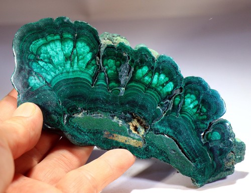 5.75" Polished Bull's Eye Malachite Slice, Congo! M365 - Picture 2 of 4