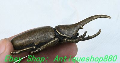 2.9''Old China Dynasty Bronze Insect Unicorn Rhinoceros Beetle