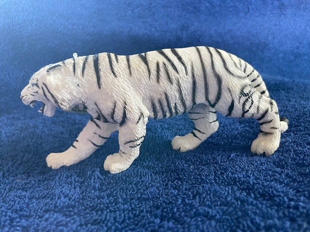 Picture 4 of 5