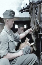 WW2 Picture Photo 1942 German soldier Panzer MG-34 machine gun and Cat 4164