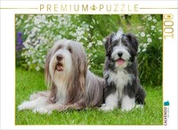 Calvendo Puzzle Bearded Collie Female And Puppy | 1000 Pieces, Finished Size 25.