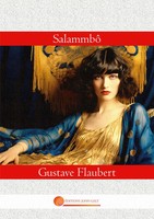 Salammbô Gustave Flaubert Taschenbuch Littérature FranzöSisch 2024