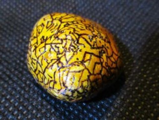Picture 4