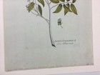 Picture 8 of 10