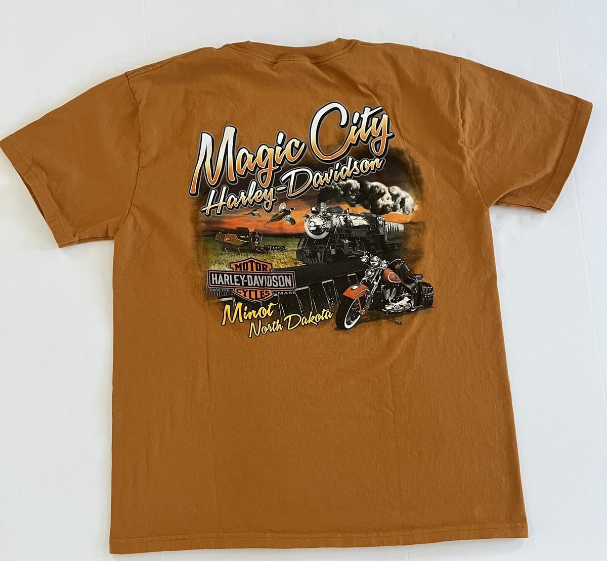 ★HARLEY-DAVIDSON COLLECTIONS★PIGMENT ICONIC TEE Harley-Davidson® Men's Screamin' Eagle Lines Colorblocked