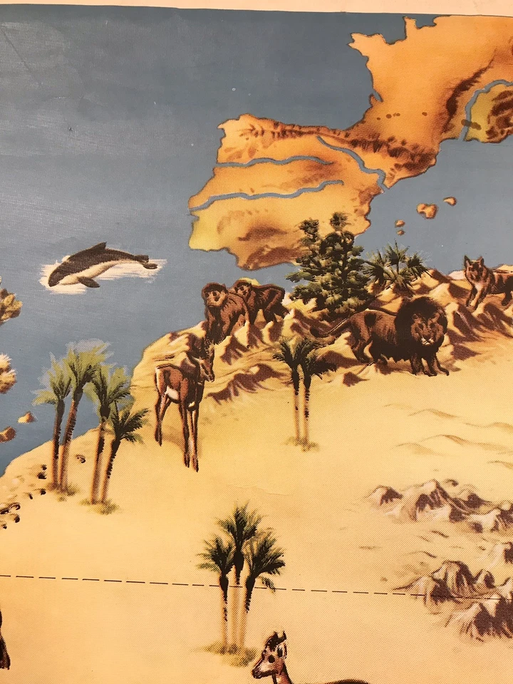 Mapa escolar desplegable ilustrado de vida silvestre africana grande vintage RARO Westermann Foto 4 de 4