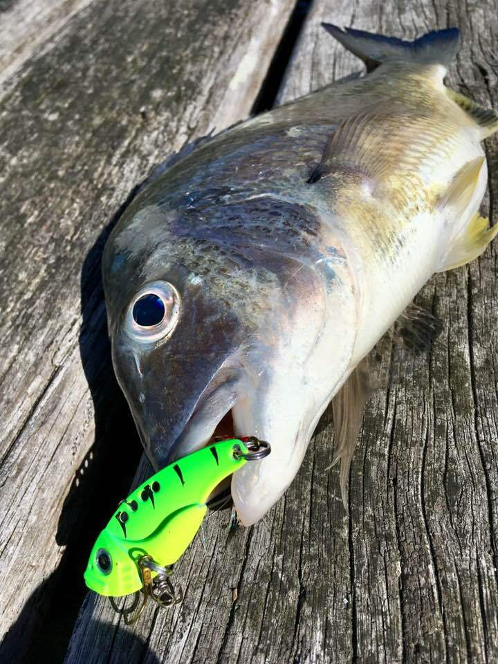 Fishing Vibe & Blade Lures Available Online & In-Store | Anaconda - Foto 2