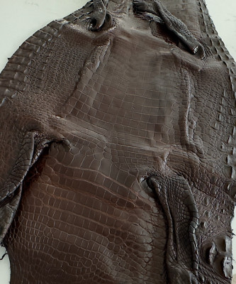 Crocodile Leather Dark Brown (100% Genuine skin)
