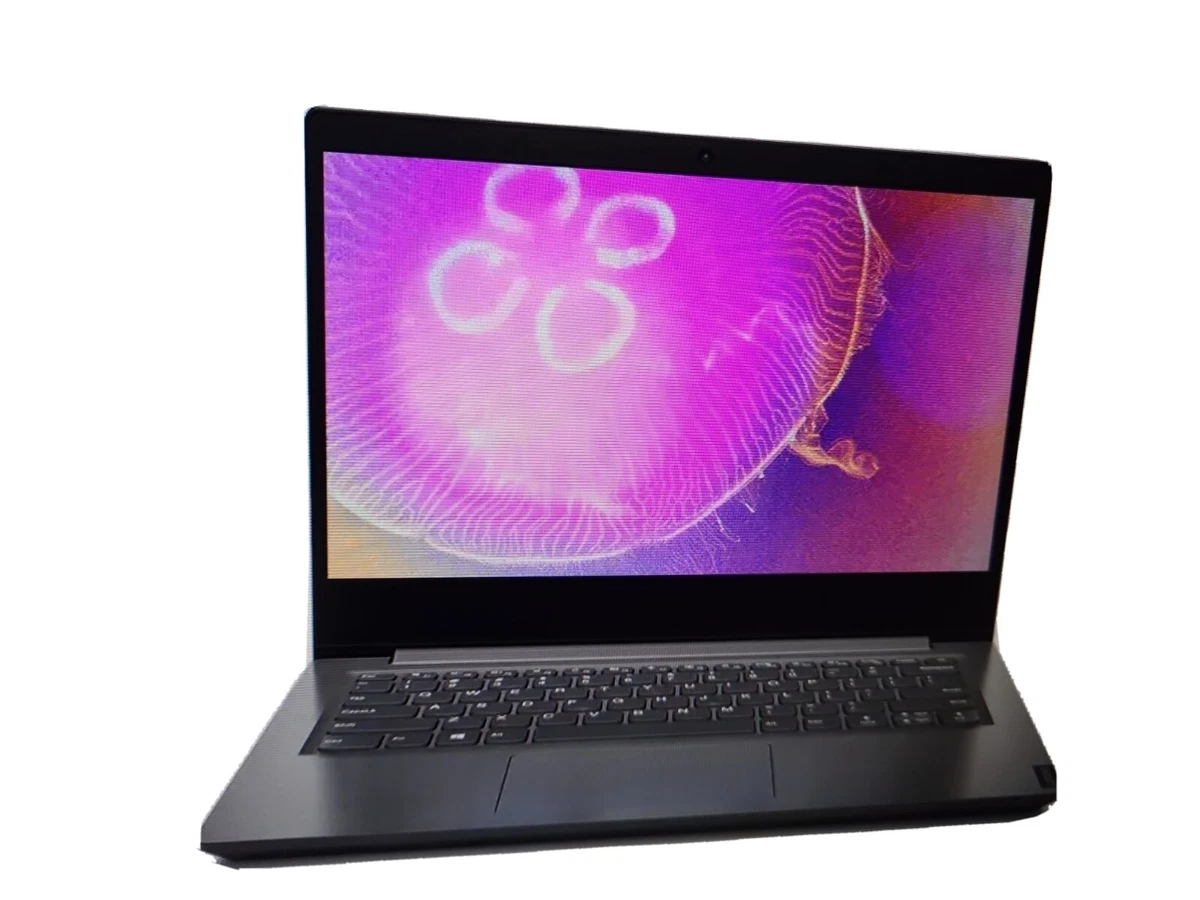 Lenovo 4 GB RAM PC Laptops & Netbooks 256 GB SSD Capacity for sale
