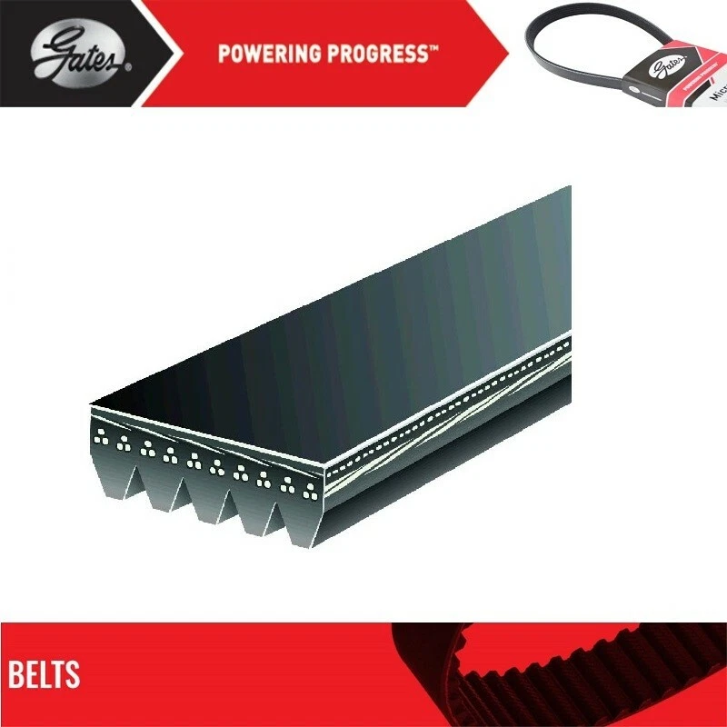 Puertas de cinturón Serpentine para Chevrolet Tornado L4-1,8 L 2004-2012 Foto 2 de 4