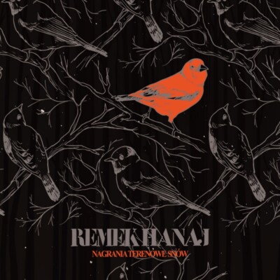 LP Remek Hanaj - Nagrania terenowe snów / snow, Ksiezyc