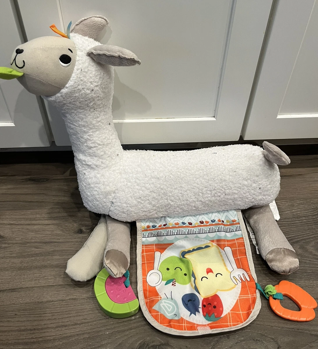 Llama tummy best sale time