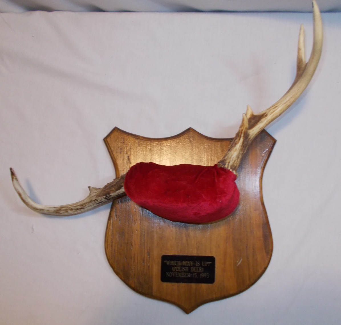 Vintage 1993 Michigan Deer Antlers Mount Plaque Cabin Decor Rustic Taxidermy