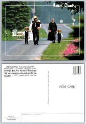Amish Country Family Strolling Road Postcard John Hinde Curteich PA