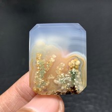 Scenic Moss Agate Cabochon 28x22x5mm High Quality 33 ct