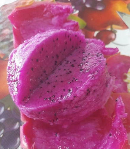 10 Dragon Fruit cuttings 8-10 inches long check The Description - Picture 23 of 24