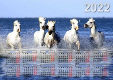 calendrier 2026 cheval camargue poster affiche plastifiée 30 x 40 cm réf 06