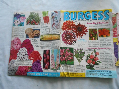 BURGESS GARDEN GUIDE FOR 1969 CATALOG W/ENVELOPE - Picture 3 of 9