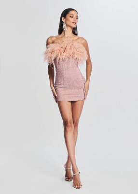 retrofete pink feather dress Sirena Feather Sequin Dress Retrofete