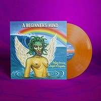 Sufjan Stevens Ang - A Beginner's Mind - Vinyl Record 12 Record - E3447Z