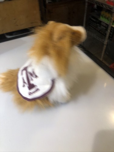 Texas A & M Aggies Hund Maskottchen Reveille 10" UNGLAUBLICHE PETABLES - Bild 3 von 7
