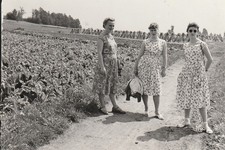 Vintage photo pretty women in fine dress Lausitz snapshot 1959 GDR