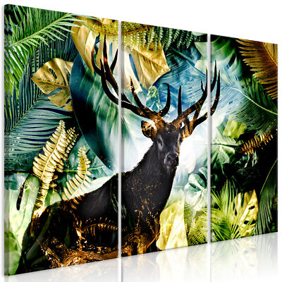 TROPISCHER HIRSCH TIER Leinwandbild TNT Drucke Wandbilder g-C-0359-b-e