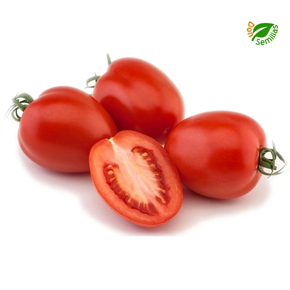 Tomate Rio Grande tipo pera ( 200 semillas ) seeds - Río Grande